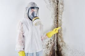 Mold Documentation for Insurance Claims in Seymour, WI